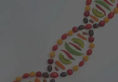 Nutrigenomics Image