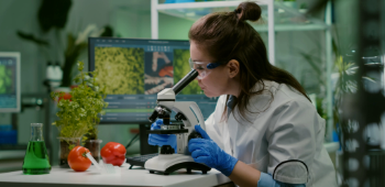 Food Research and Development